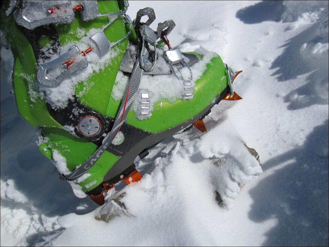 Crampons Race 290