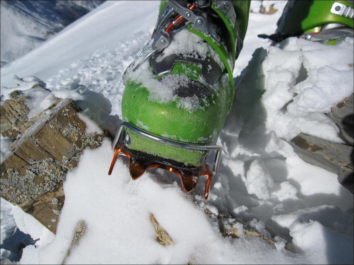 Crampons Race 290