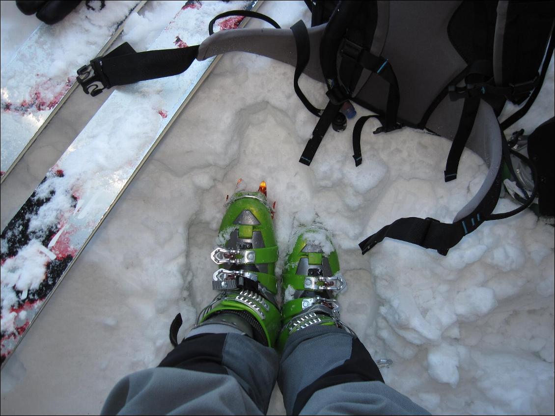 Crampons Race 290