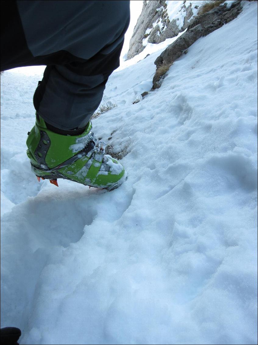 Crampons Race 290