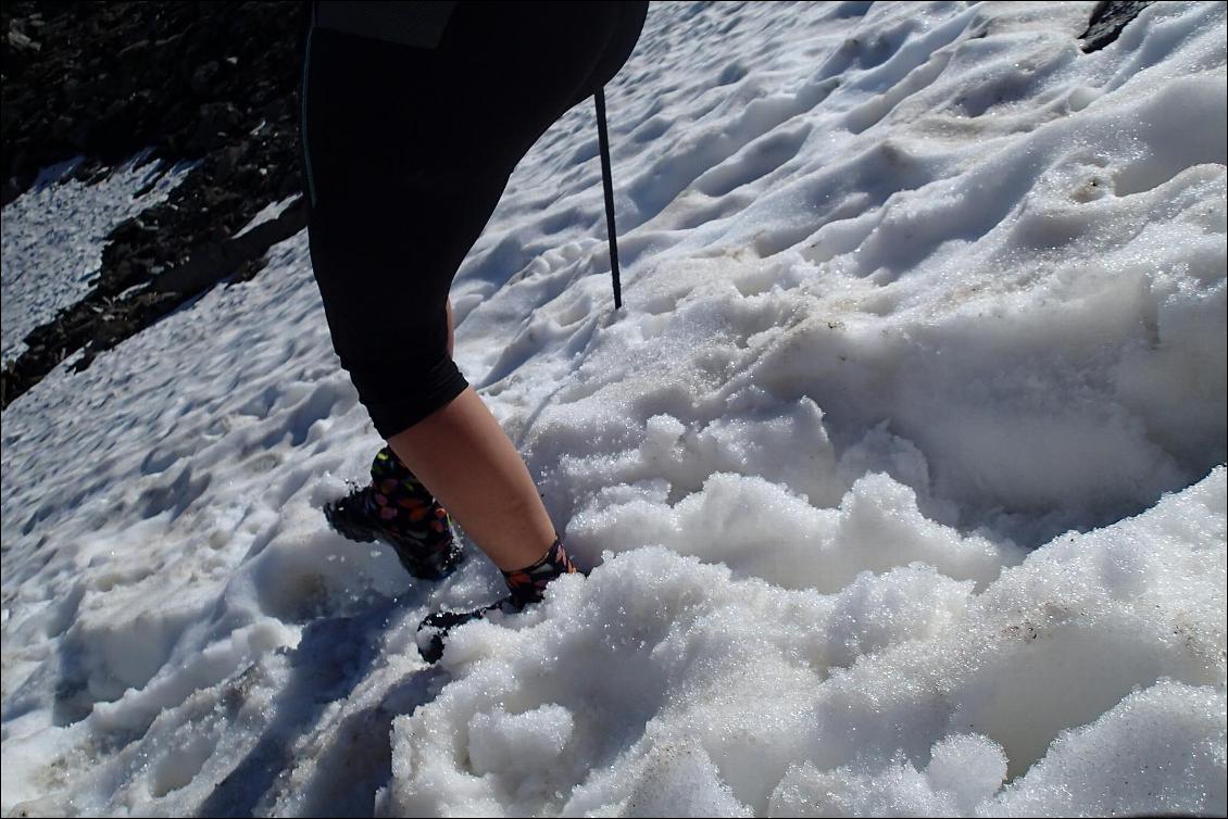 Bonne protection contre la neige estivale ou de printemps