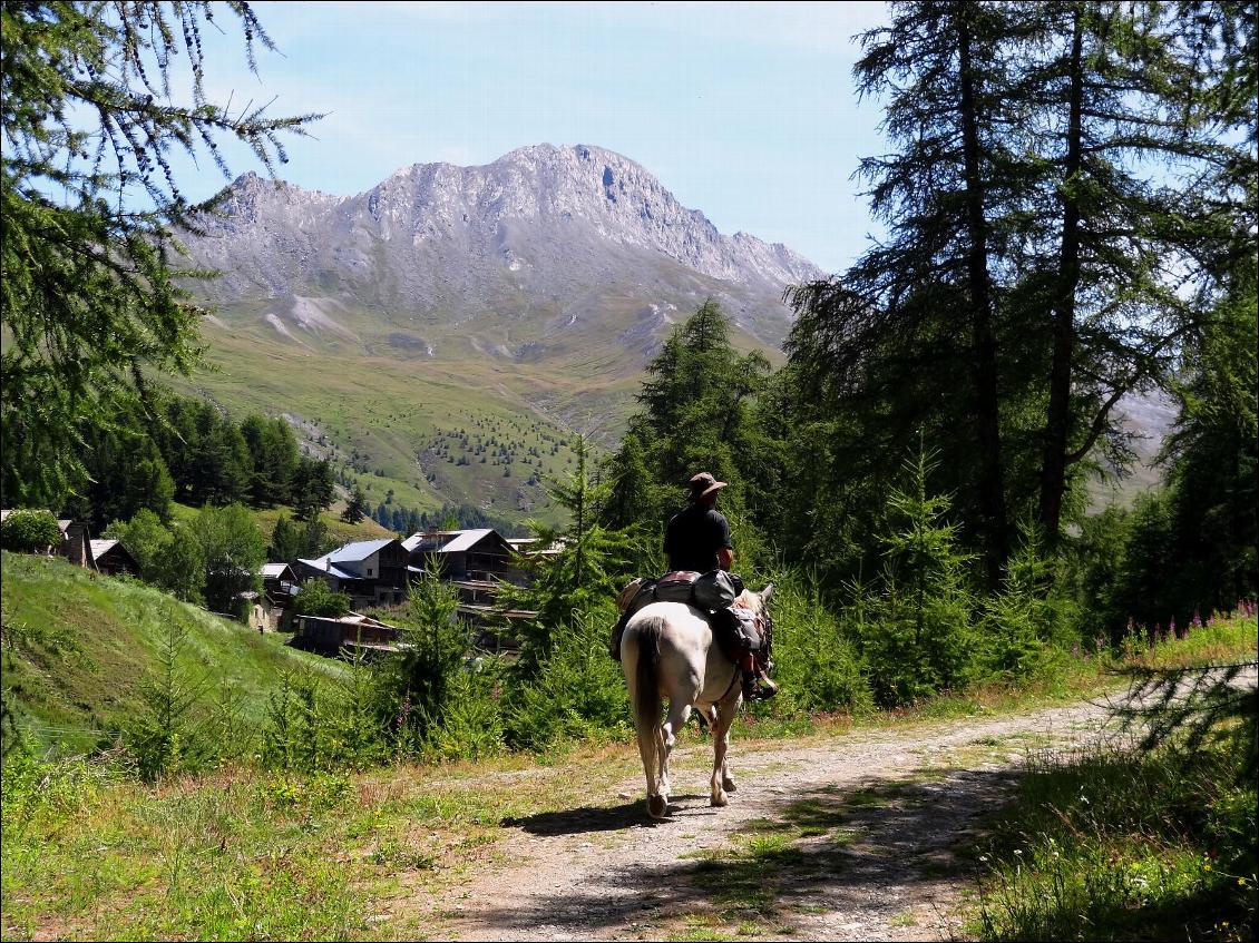 Randonnée à cheval dans les Alpes