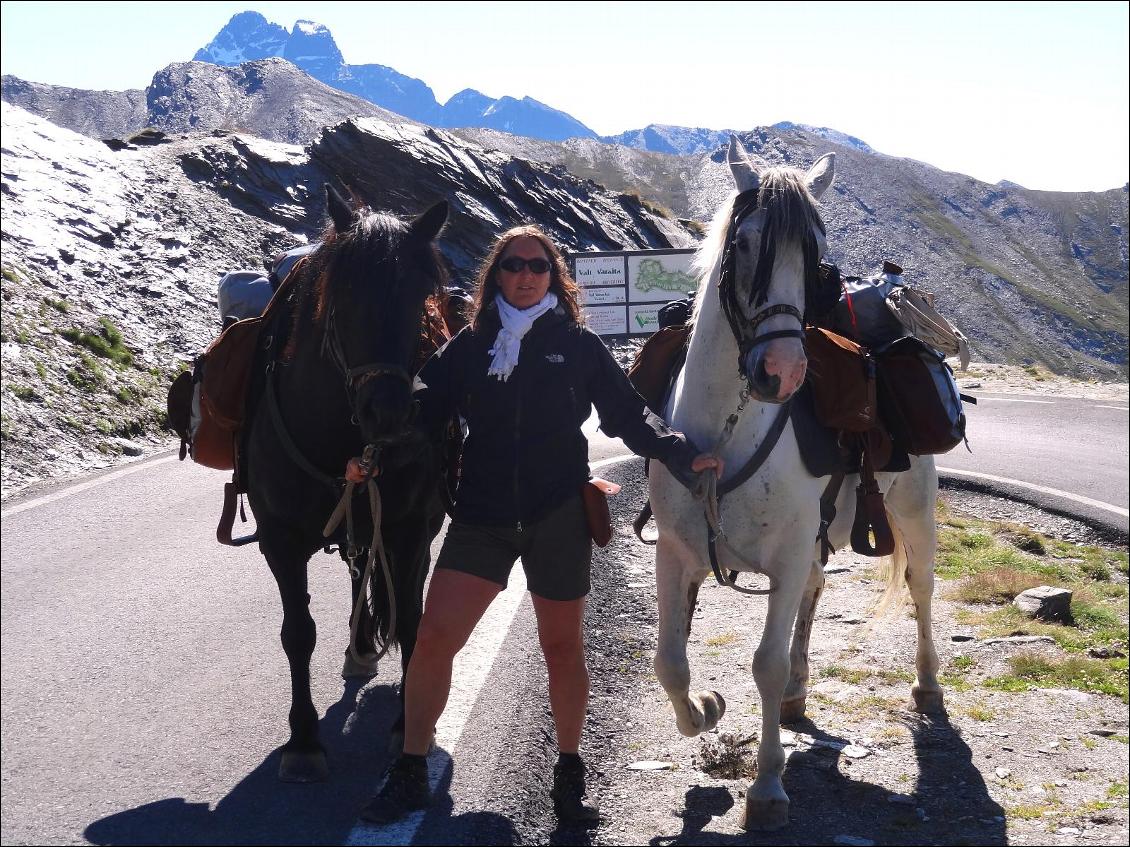 Randonnée à cheval dans les Alpes