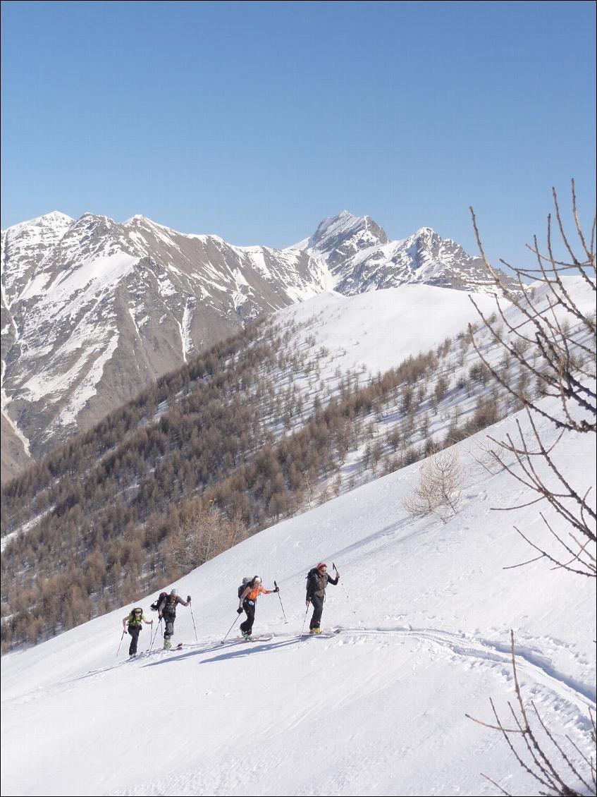 Peaux de ski de randonnée sans colle