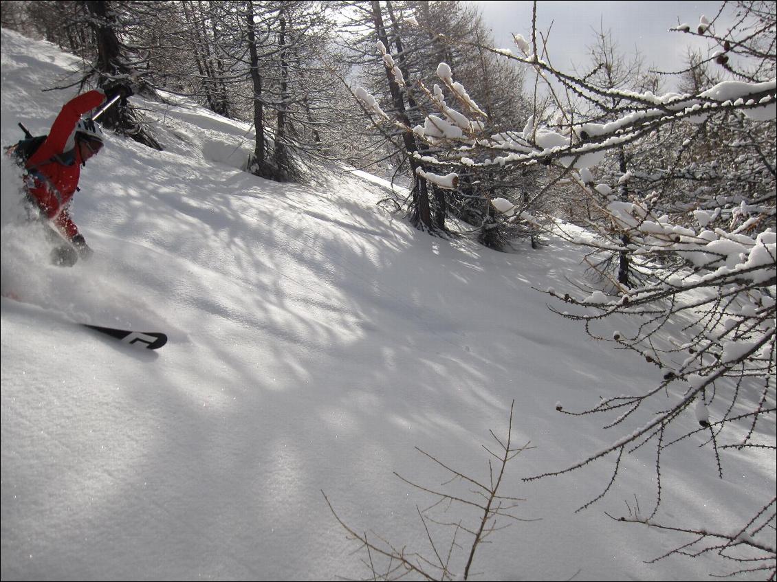 Bonne portance en grosse poudre