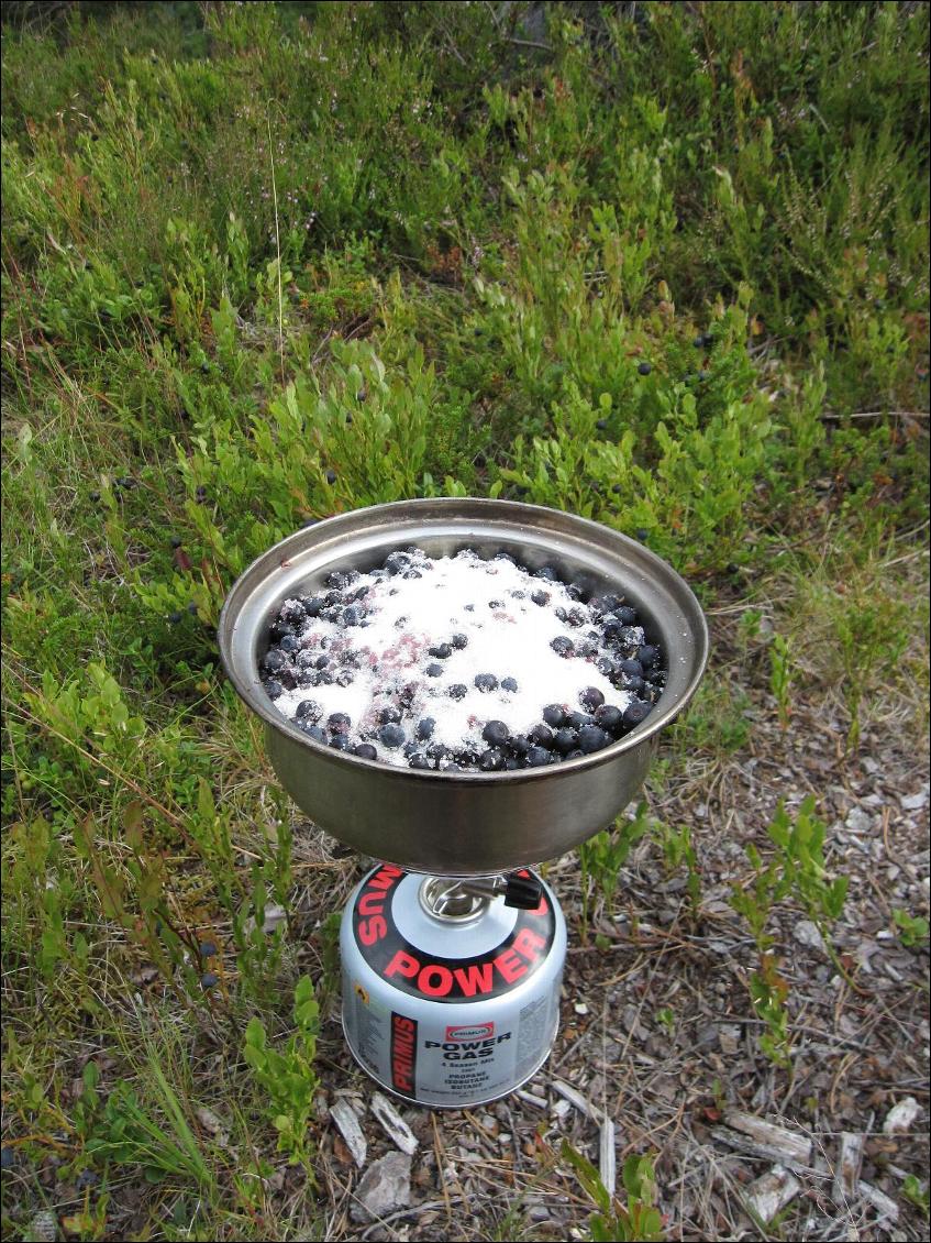 La Norvège c'est la paradis des myrtilles. On ne s'est pas privés de faire de la confiture :-)