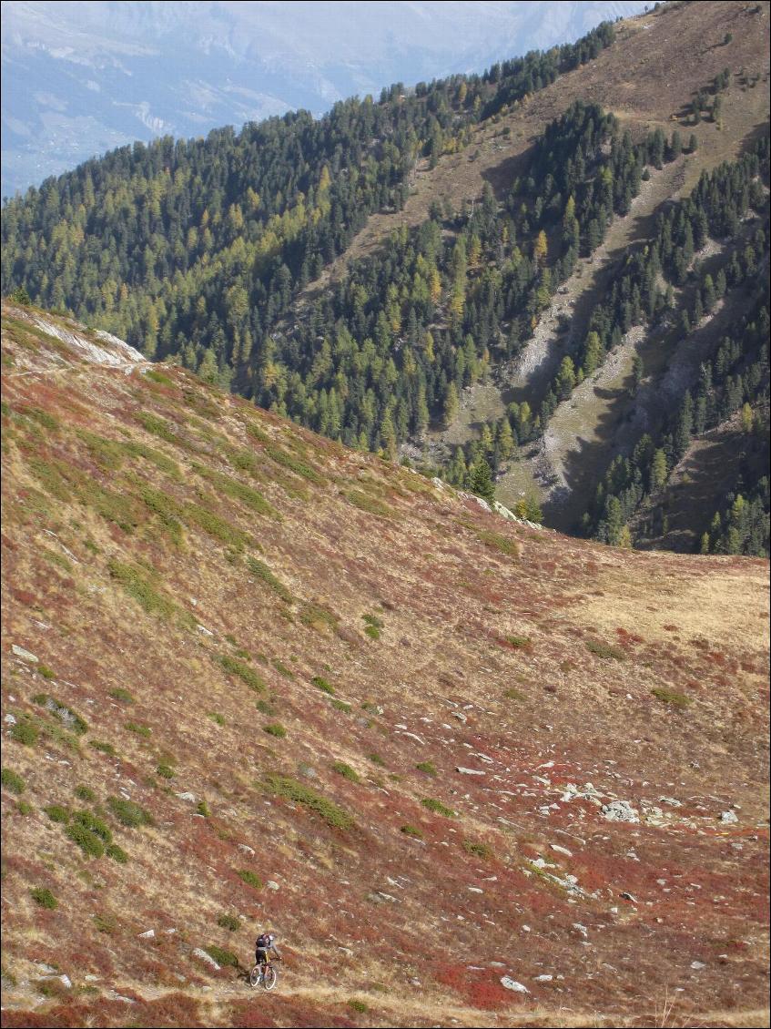 Descente au milieu des myrtilles