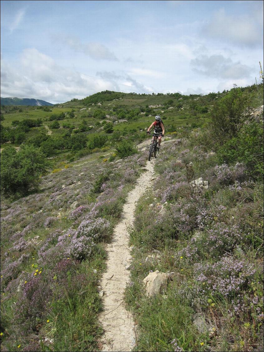 VTT itinérant autour de la Montagne de Lure