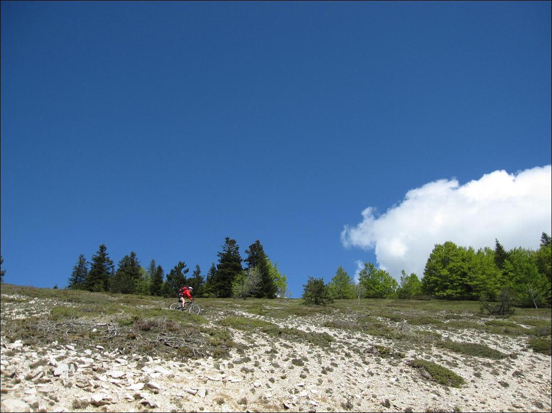 La descente des crêtes vers ND de Lure