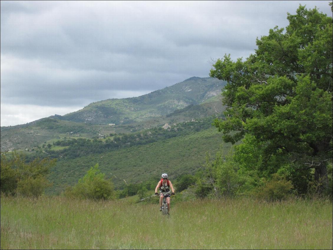 Le sentier peu souvent parcouru est envahi d'herbes hautes