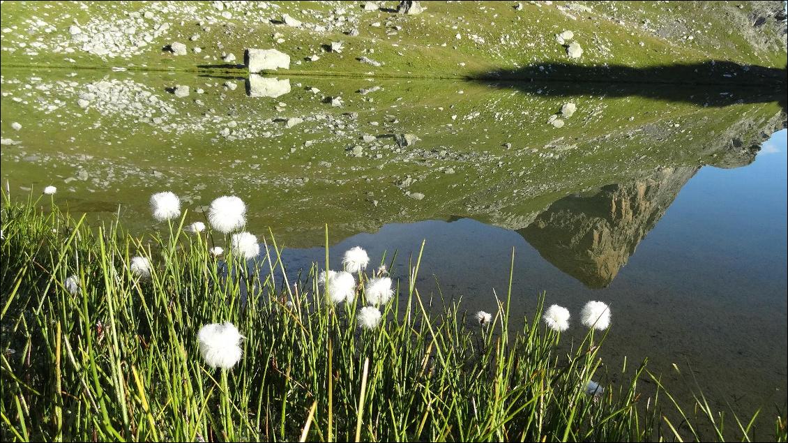 Lac du Marinet, petit matin