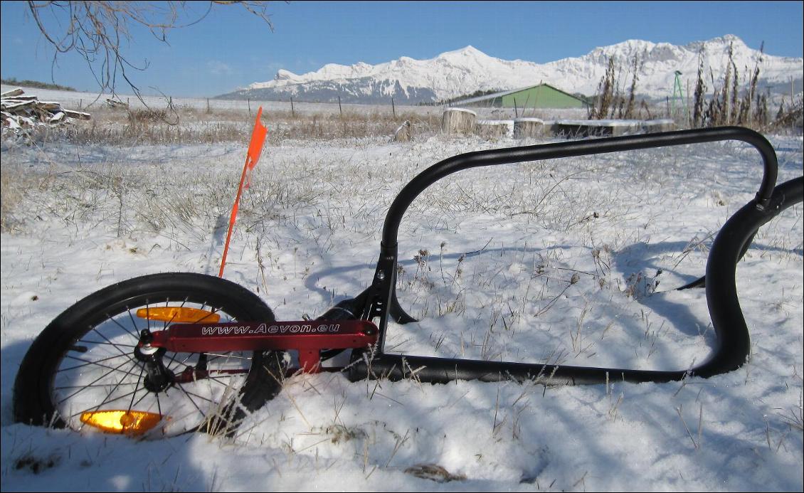 Remorque à vélo pliable et suspendue