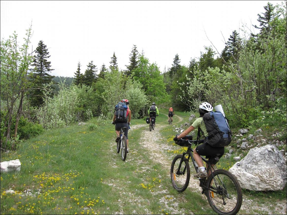 L'itinéraire passe souvent sur des chemins roulants