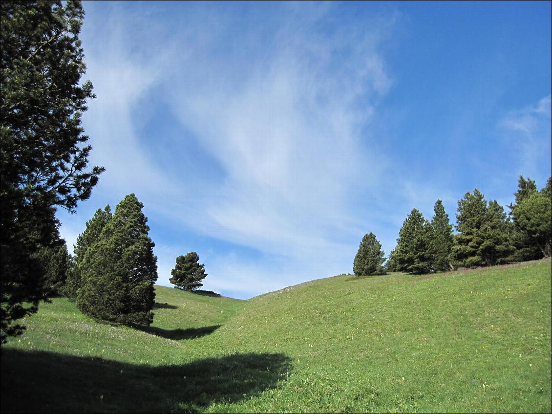 Entre Pré Peyret et le Col du Rousset