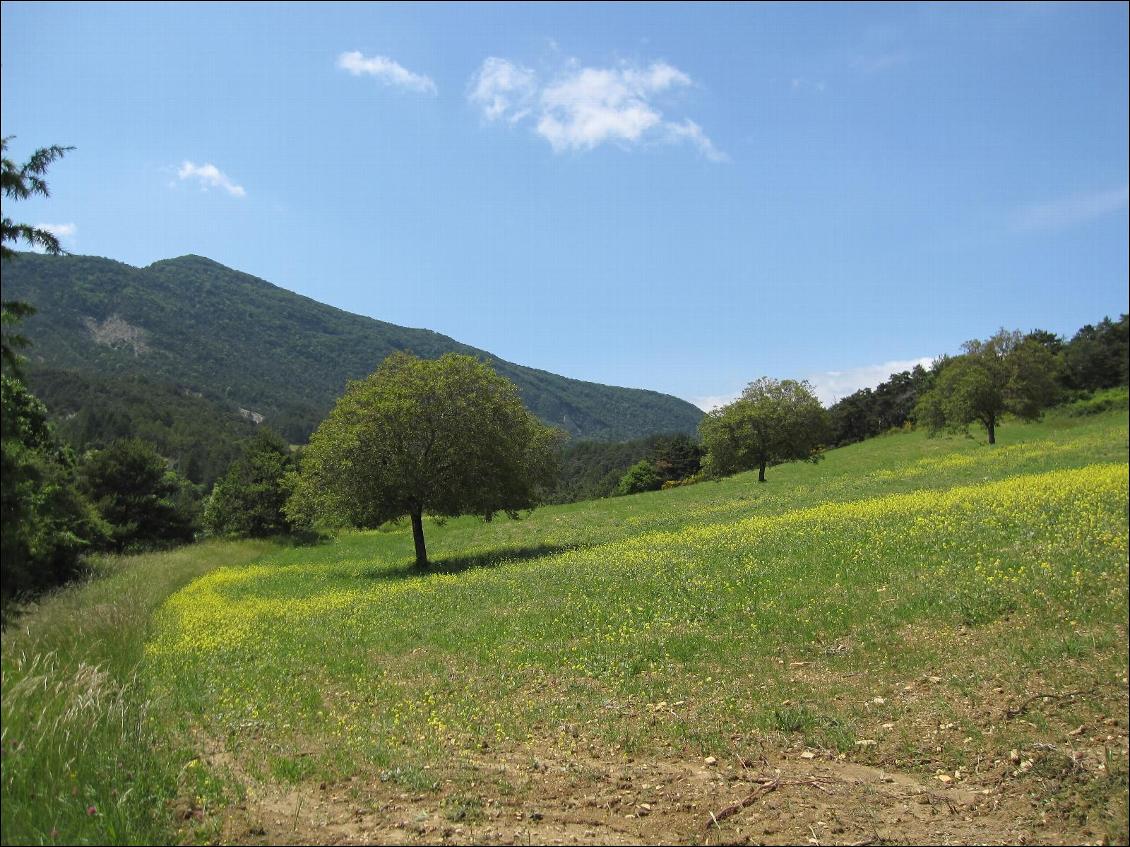 Ambiance bucolique aux abords de Die