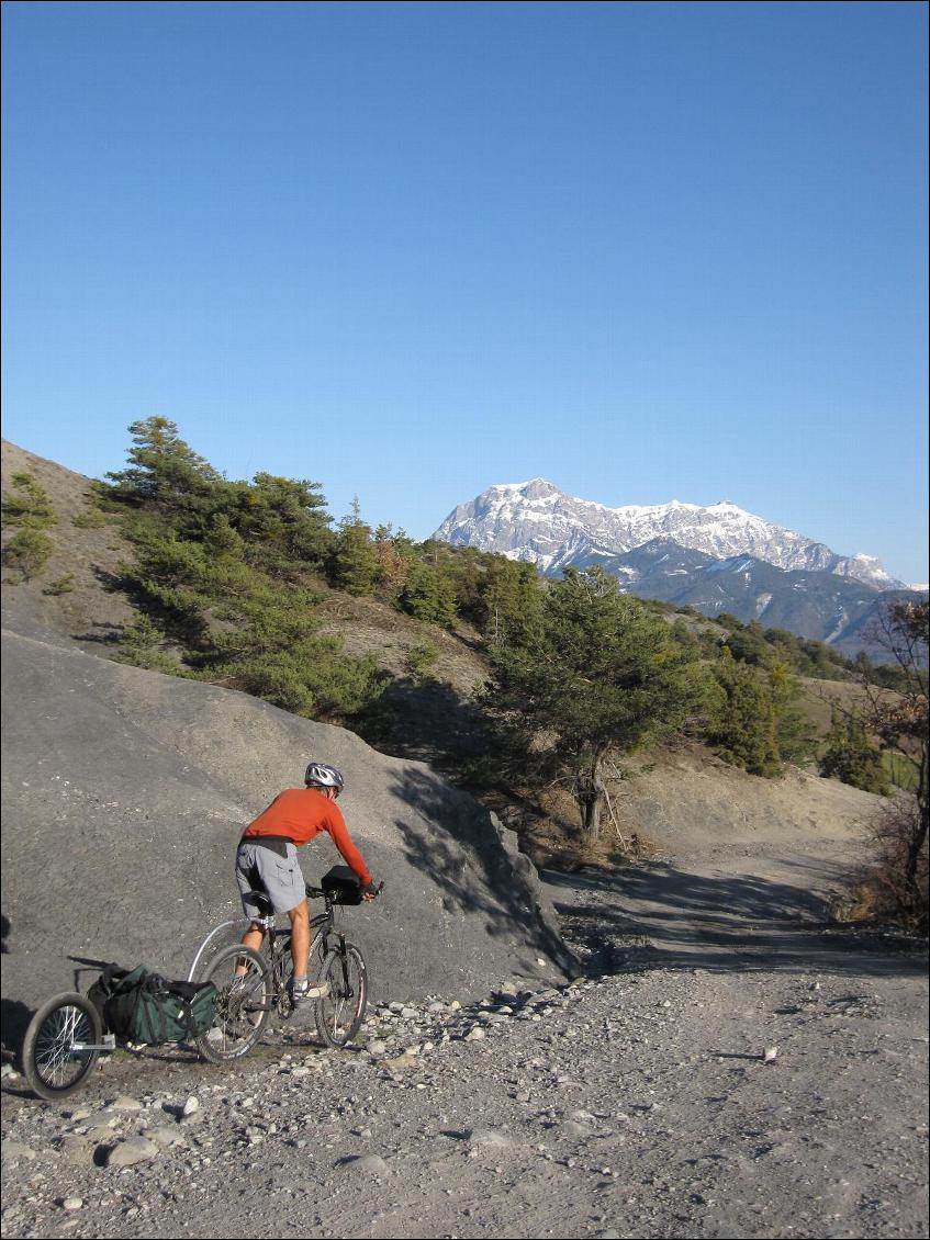 Remorque à vélo Oxtail