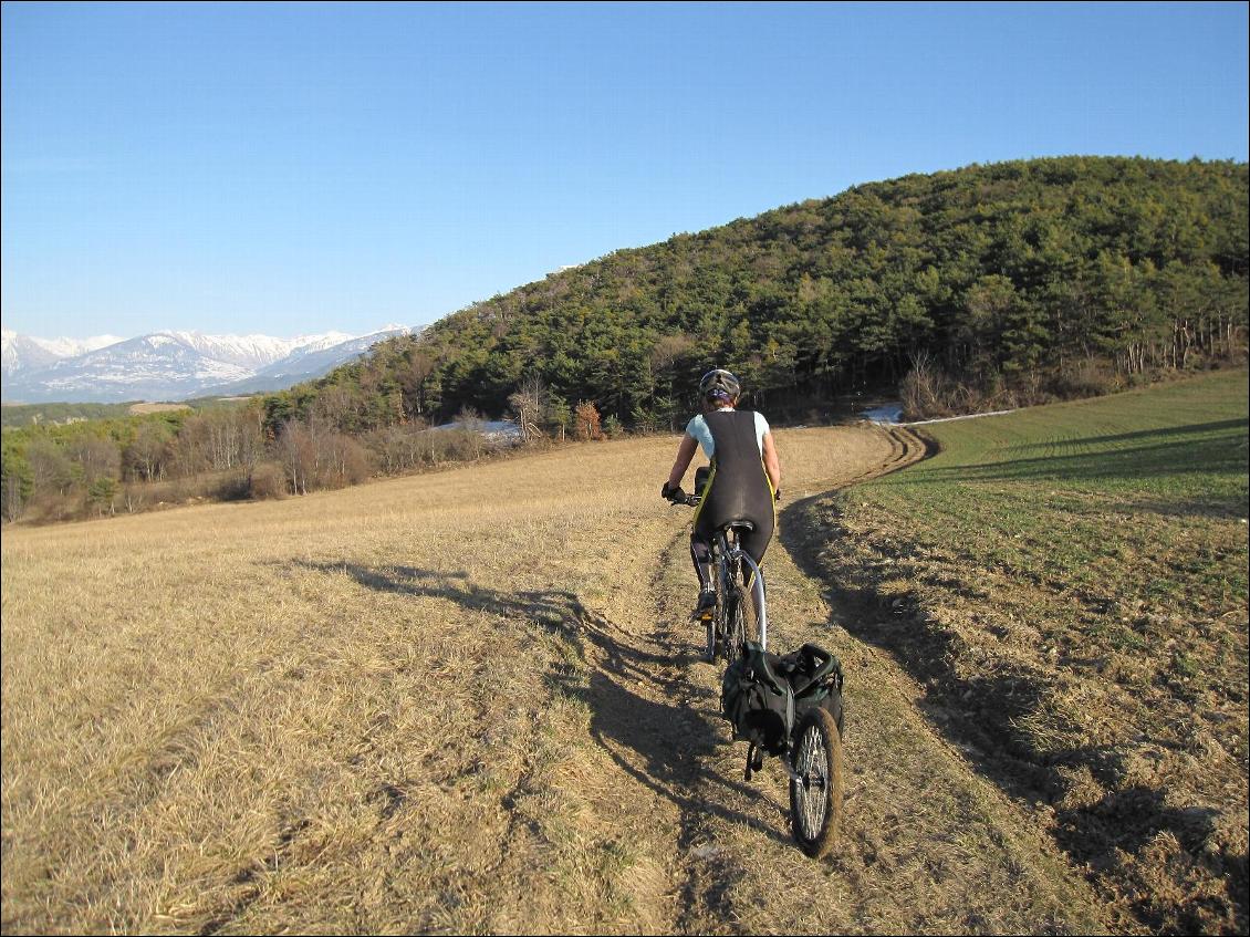 Remorque à vélo Oxtail