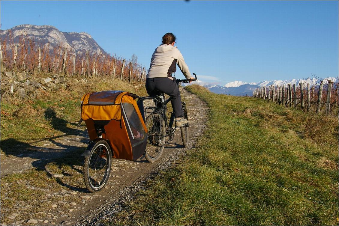 Remorque vélo enfant mono-roue Tout-terrain Single Trailer