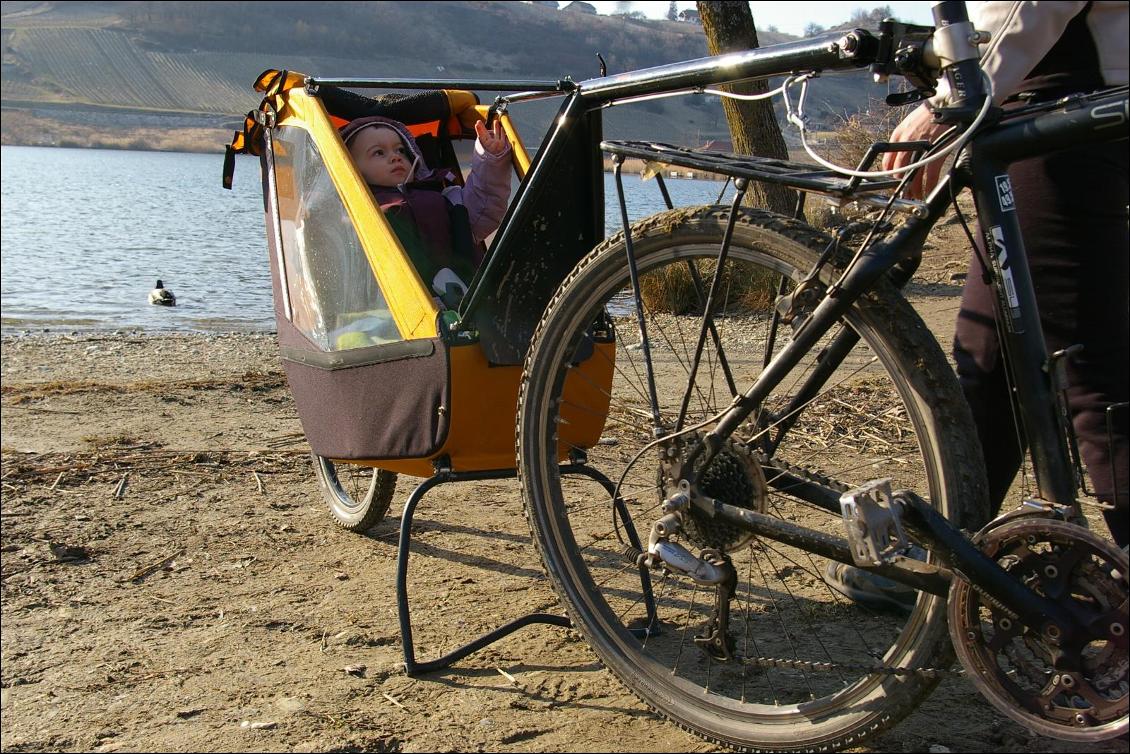 Remorque vélo enfant mono-roue Tout-terrain Single Trailer