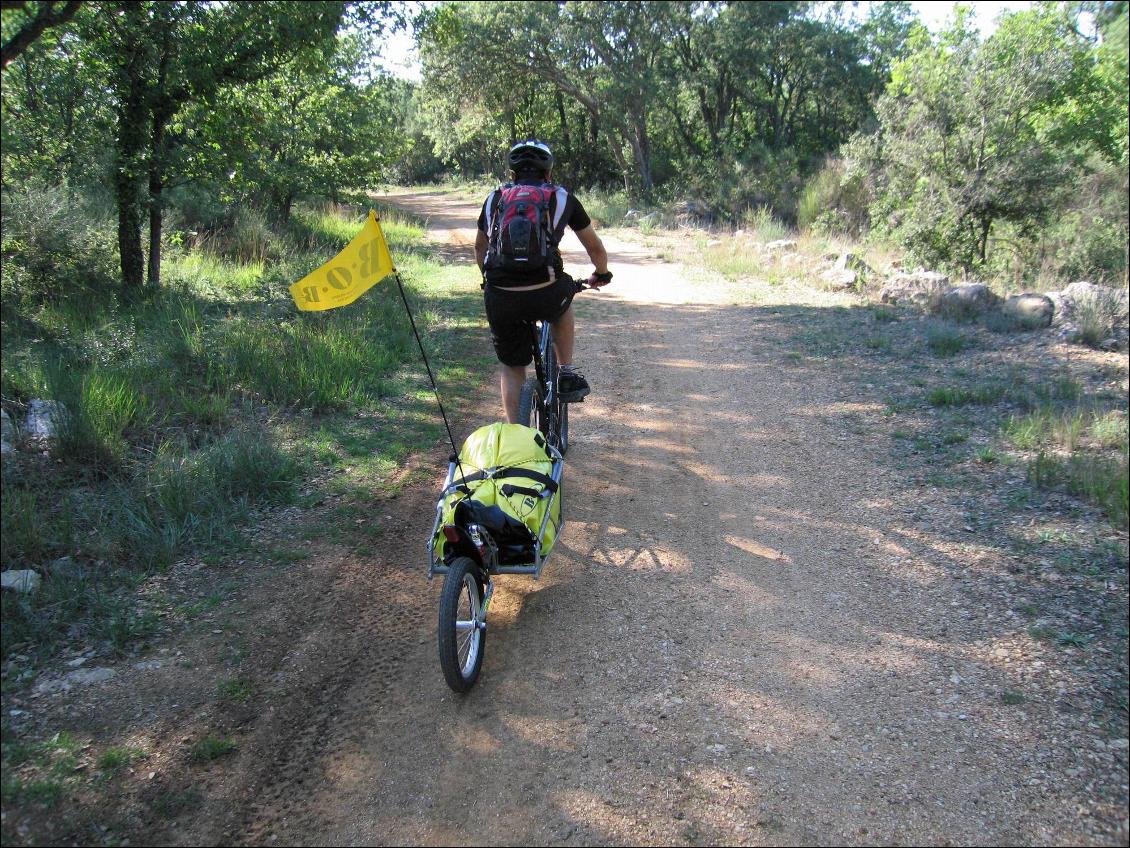 Avaleuse de piste