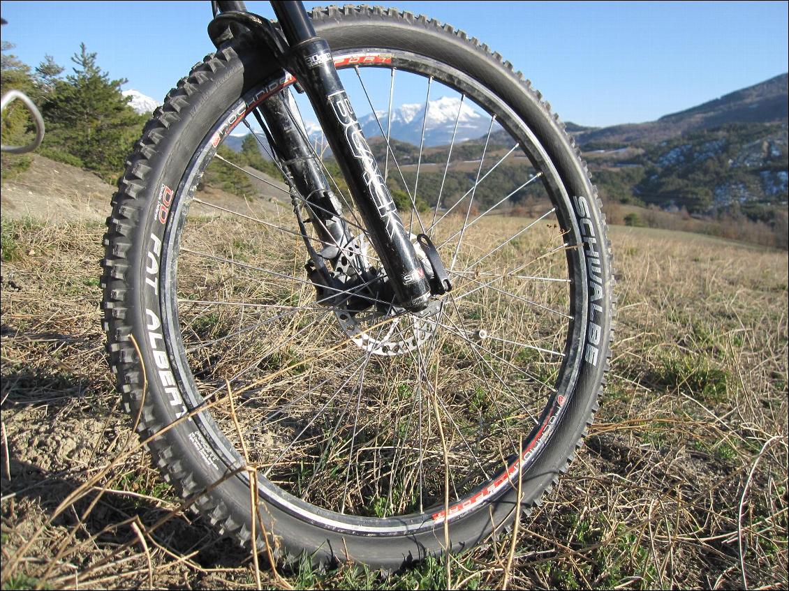 Pneu Schwalbe Fat Albert (avant)