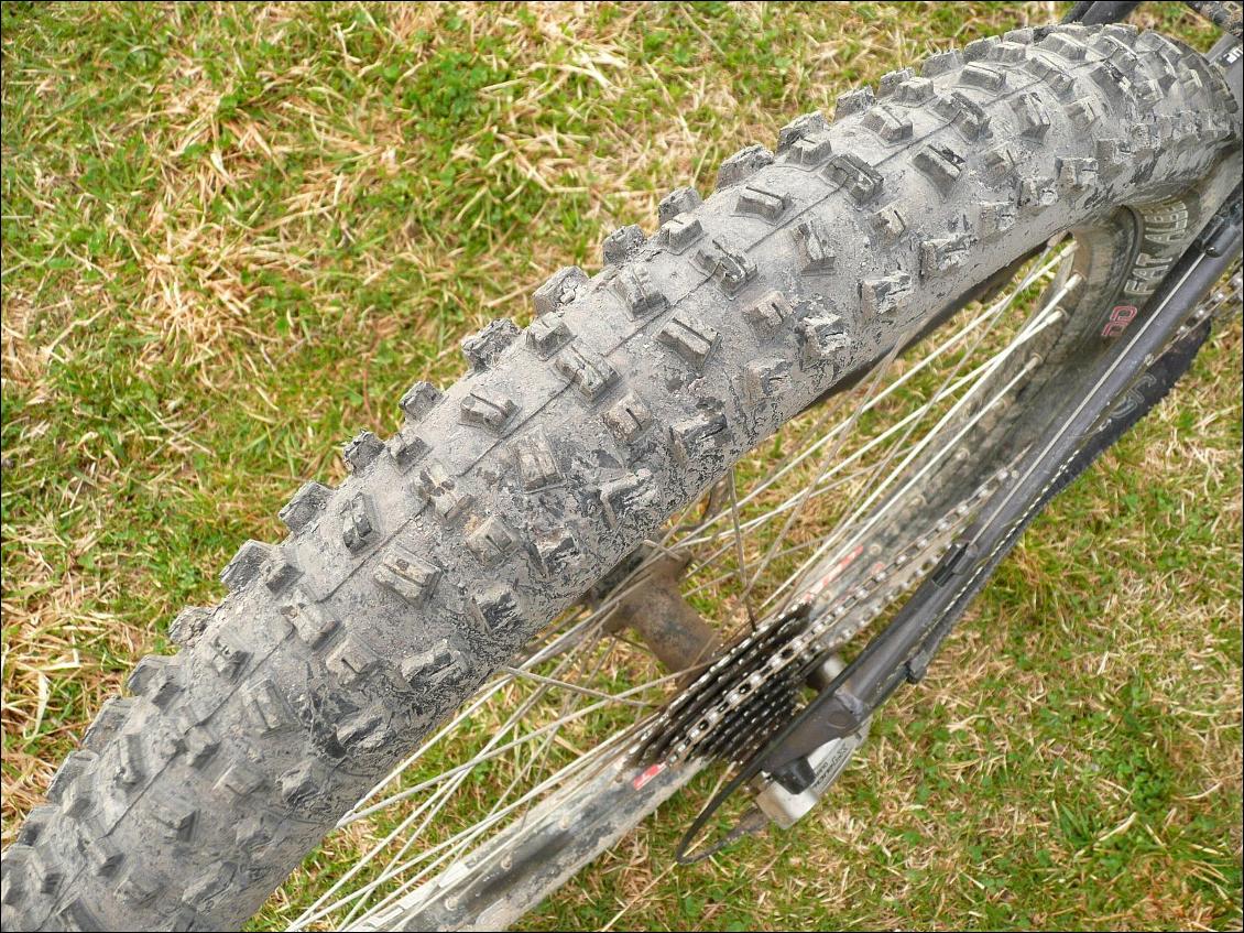 Pneu Schwalbe Fat Albert (arrière)