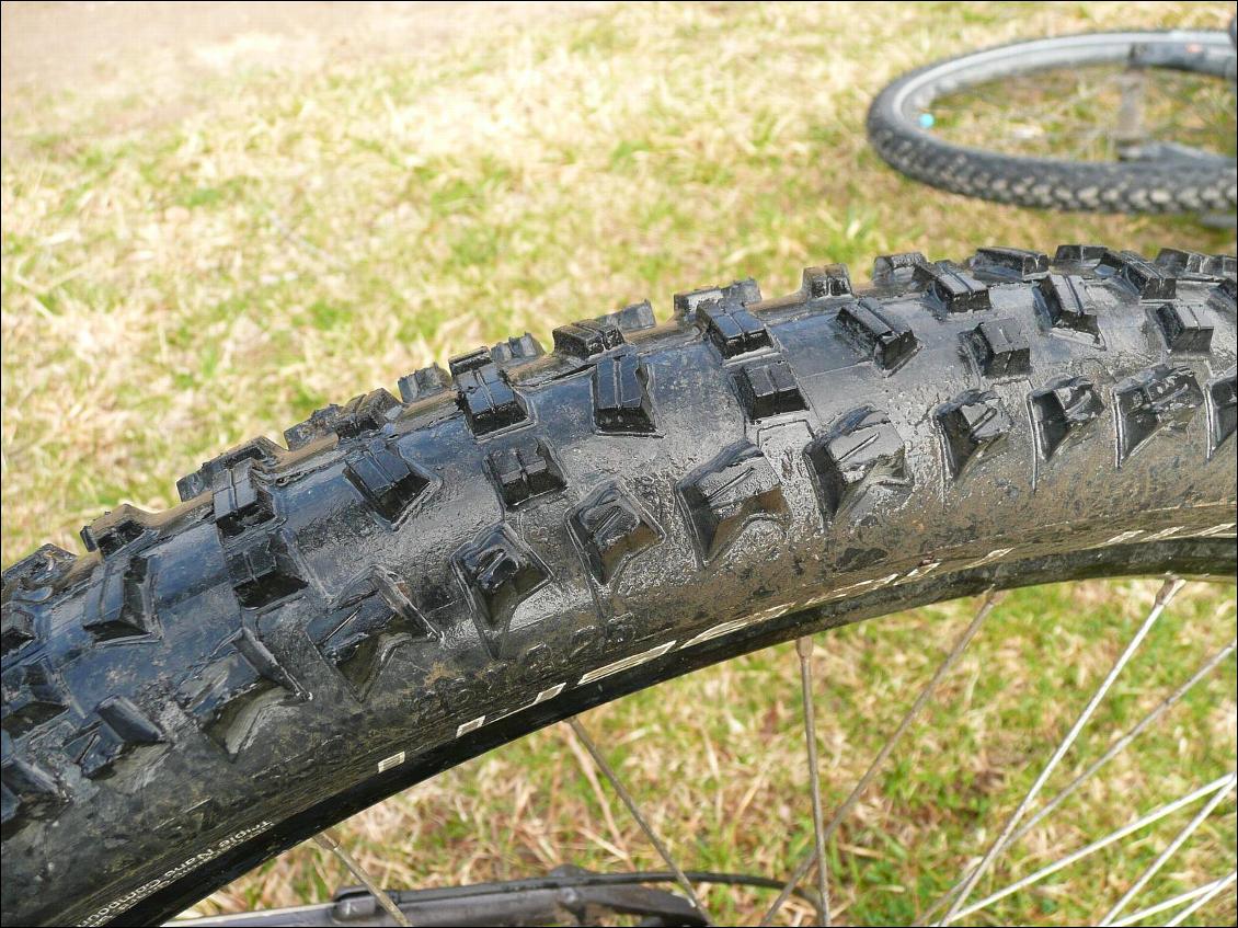 Pneu Schwalbe Fat Albert (arrière)