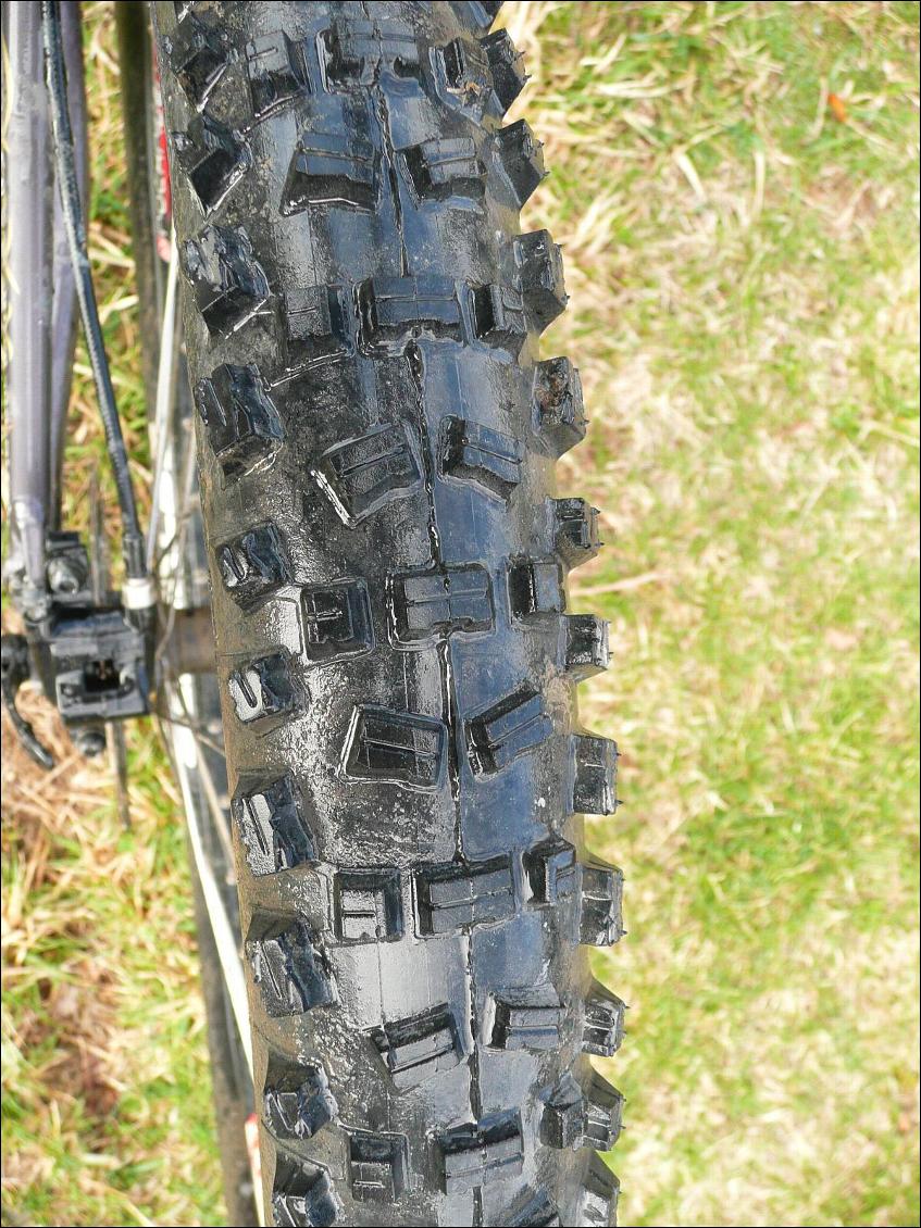 Pneu Schwalbe Fat Albert (arrière)