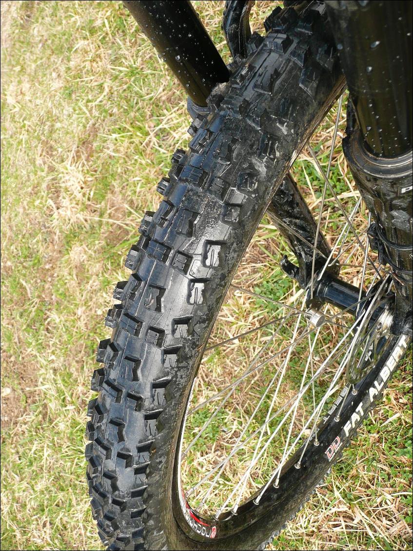 Pneu Schwalbe Fat Albert (avant)