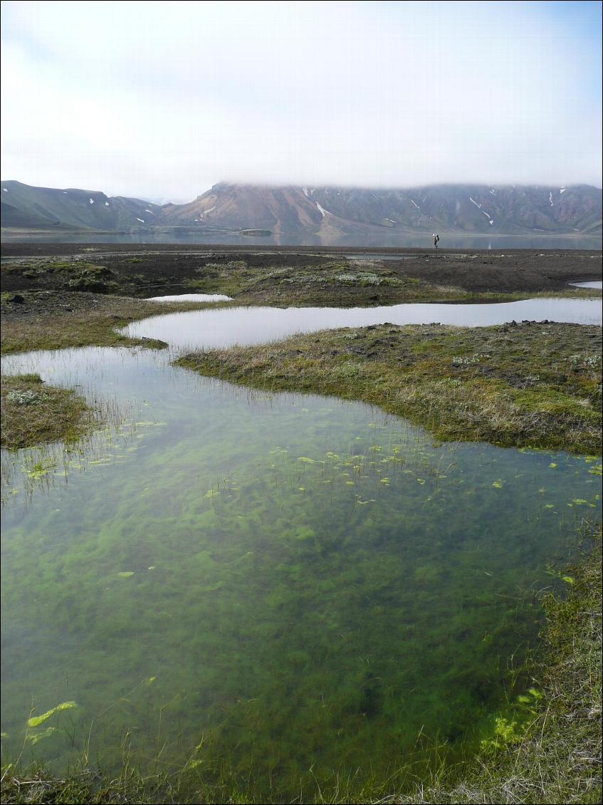 De Landmannahellir à Landmannalaugar : le long de la côte nord du Frostasta?avatn