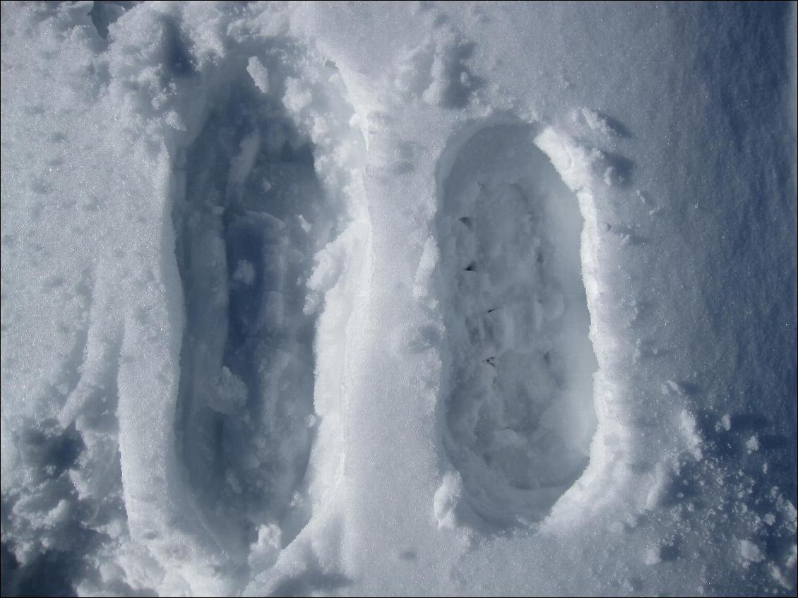 A gauche trace de la raquette TSL et à droite trace de la raquette lévitation (pour avoir une idée de la surface de portage)