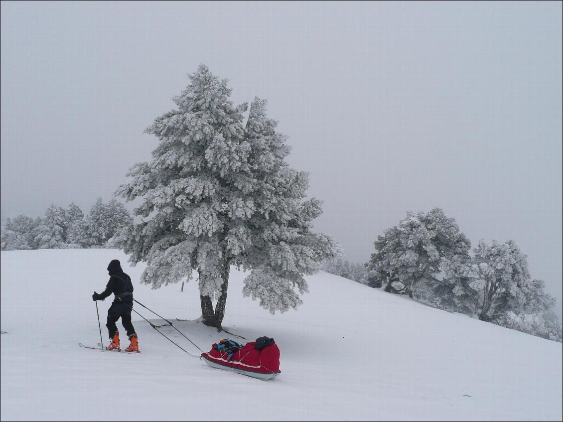 GTV hivernale : Les arbres se parent de givre