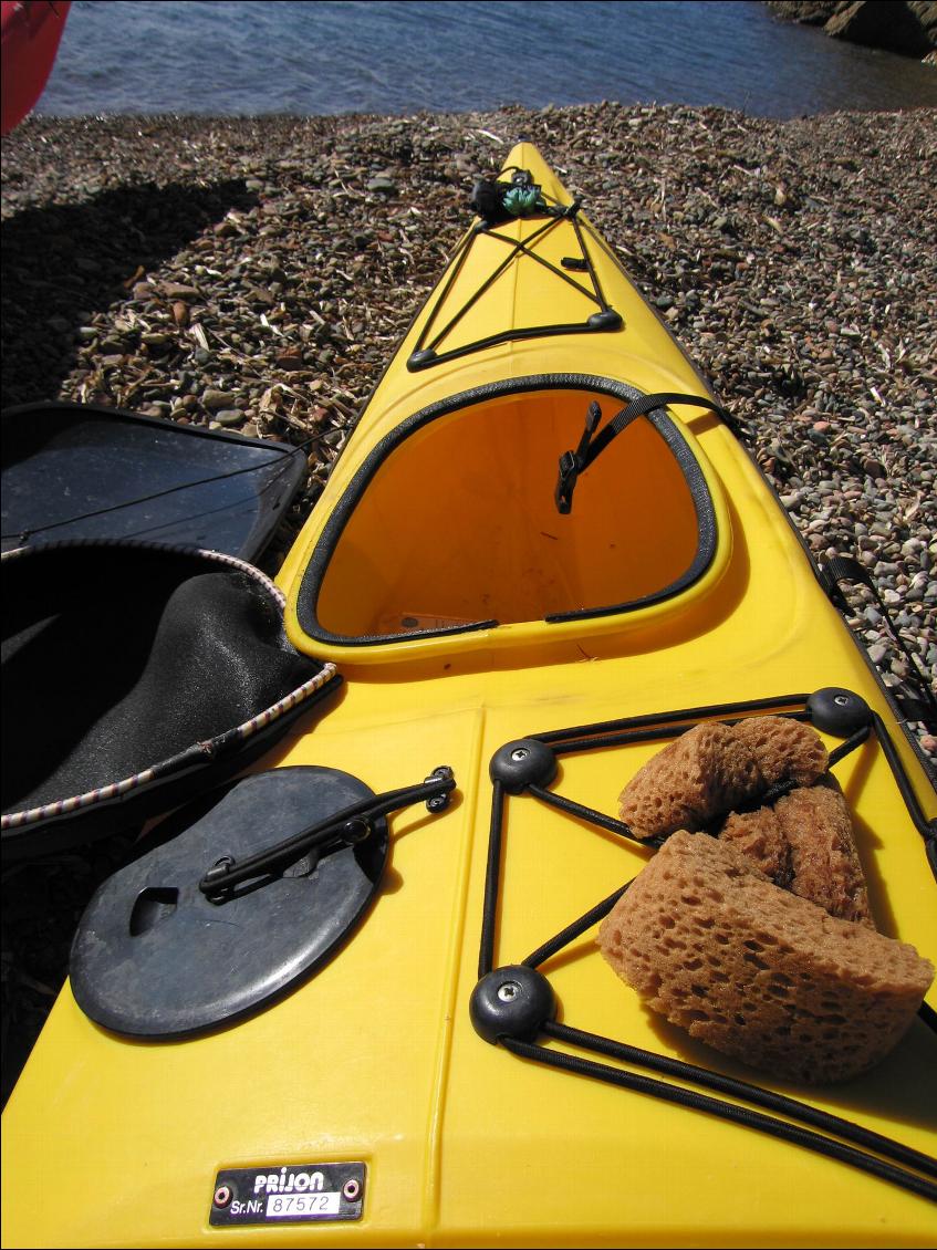 Kayak Barracuda