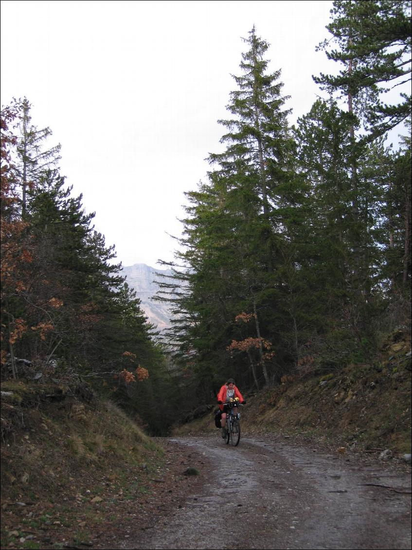 Etape 4 : VTT dans les Alpes-de-Haute-Provence 