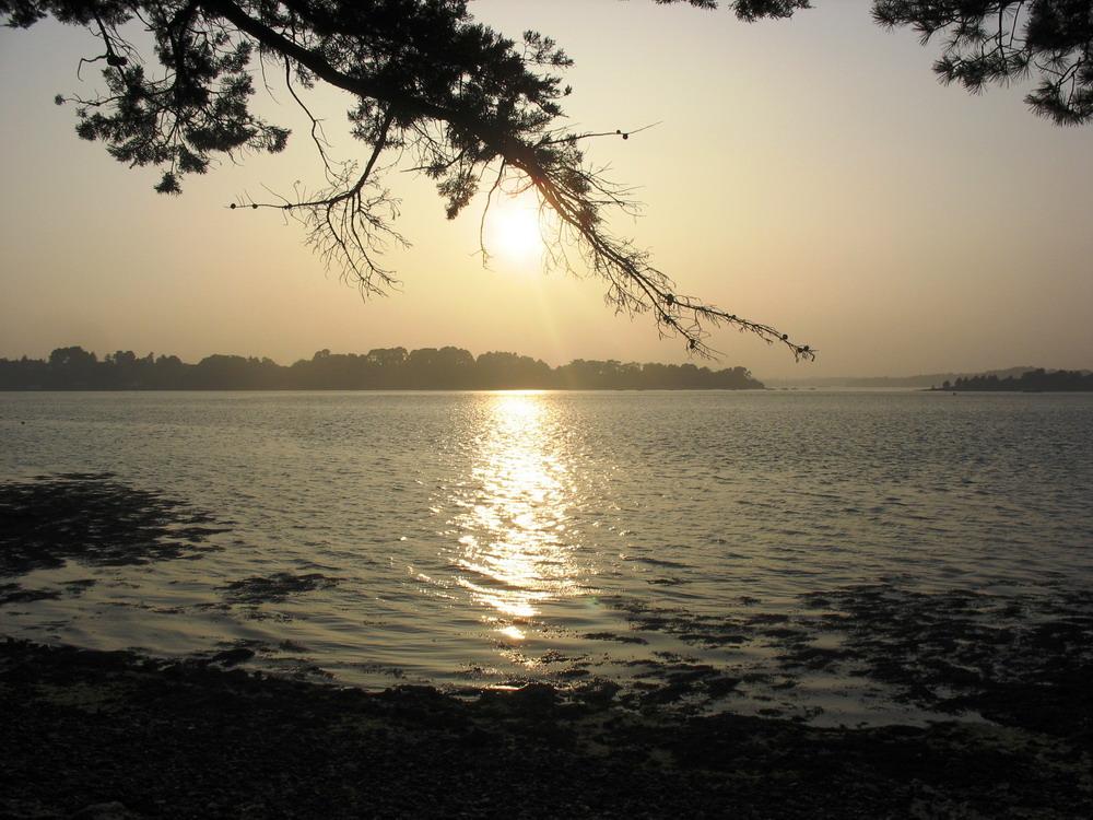 Kayak de mer dans le golfe du Morbihan