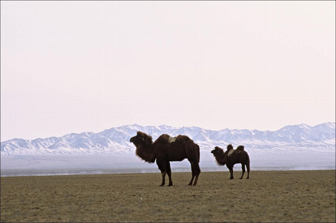 expo-vivre-au-desert