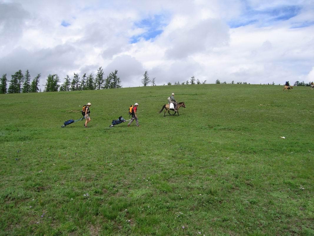 Chevaux, marcheurs, vélo