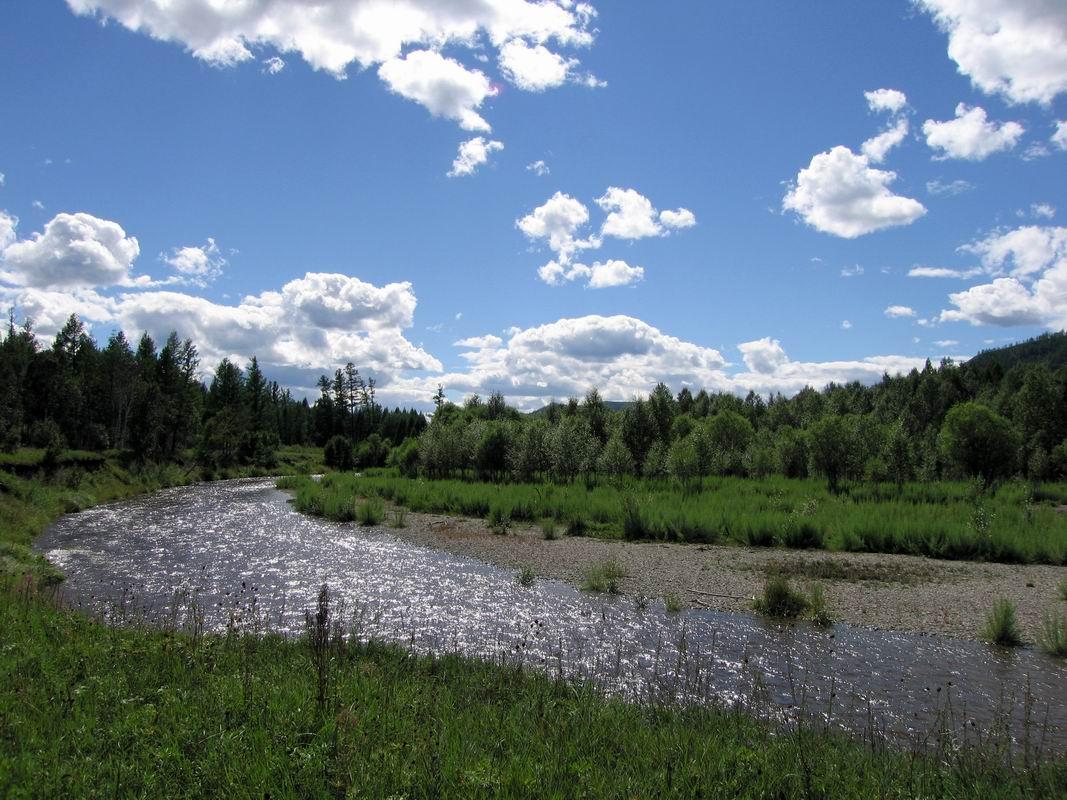 Paysages sauvages de rivières et de forêt entre Shandami et Erdenet-Bulgan