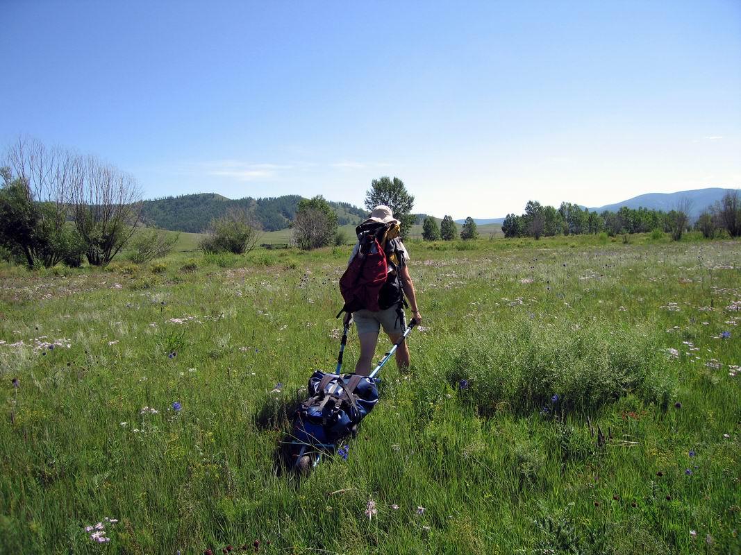 Le petit Carrix dans la prairie