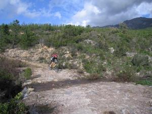 Corse : VTT/Rando dans la forêt domaniale de Bonifatu