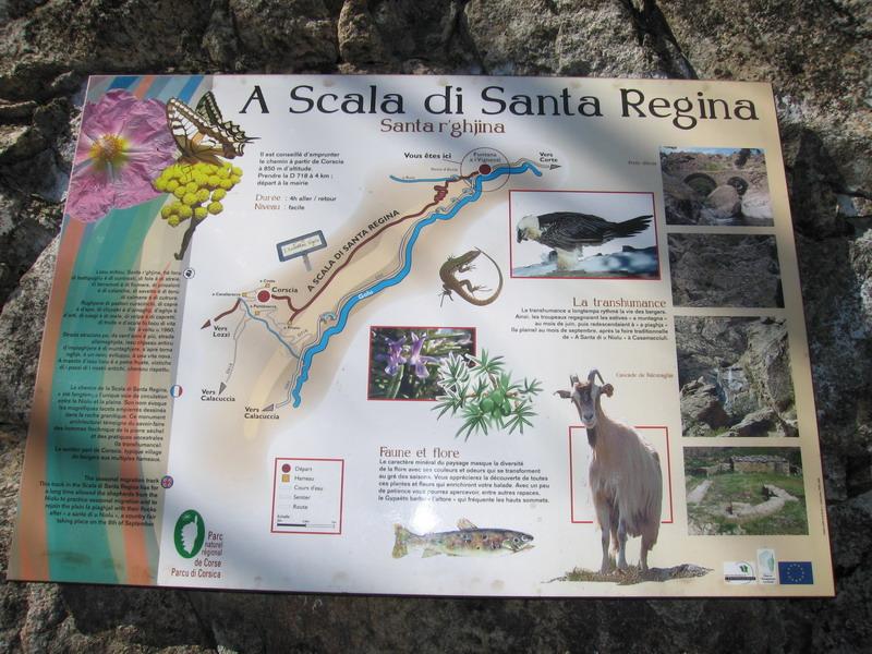 corse-rando-boucle-autour-de-corscia-scala-di-santa-regina-corse