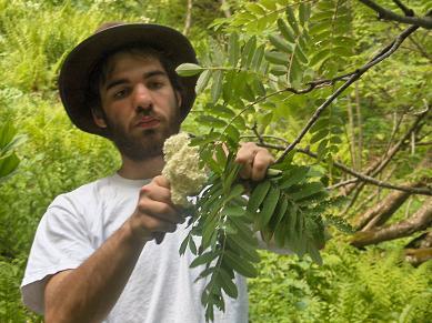 Se nourrir de la nature