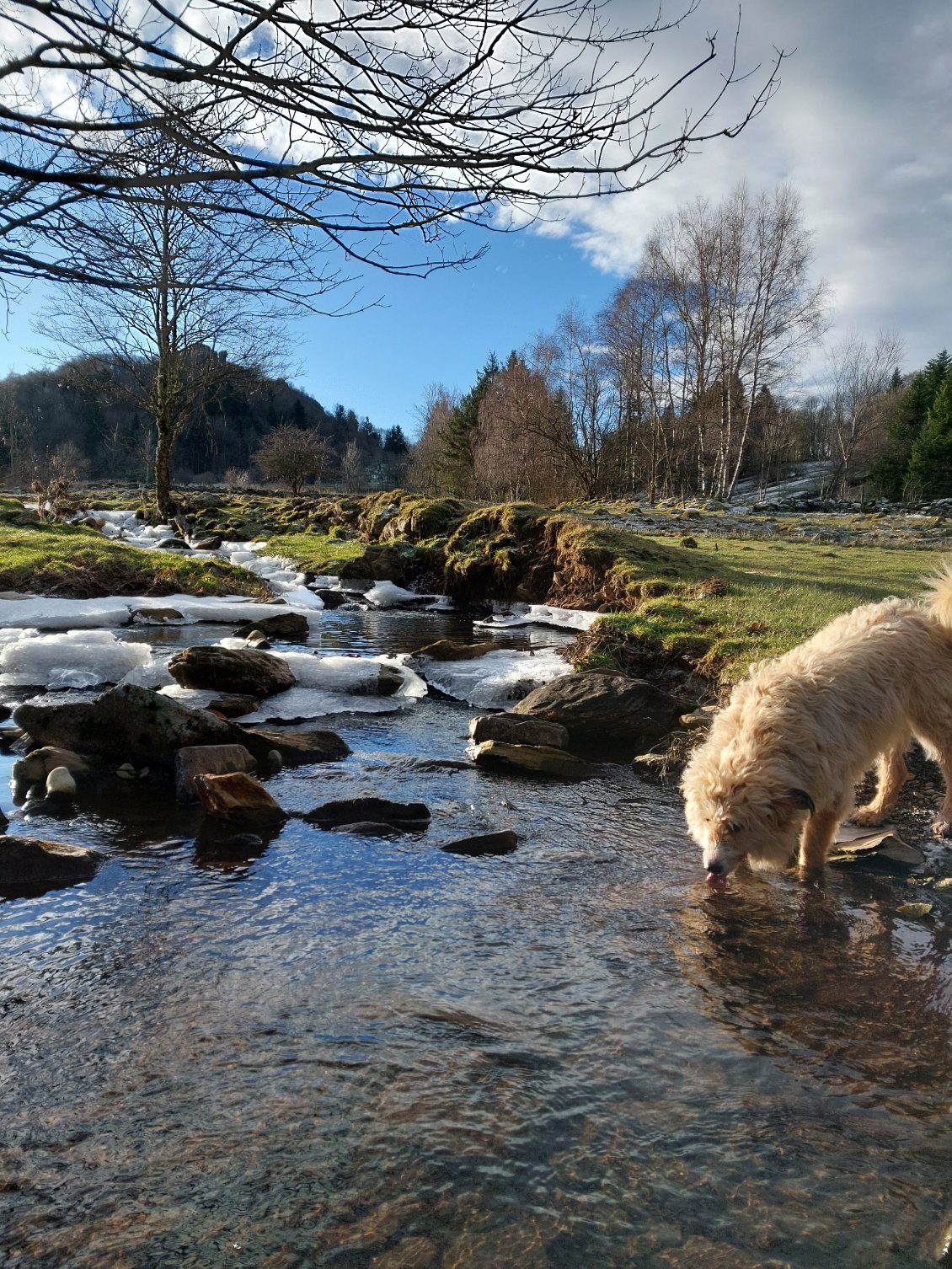 Malgré le froid, il faut penser à bien s'hydrater !