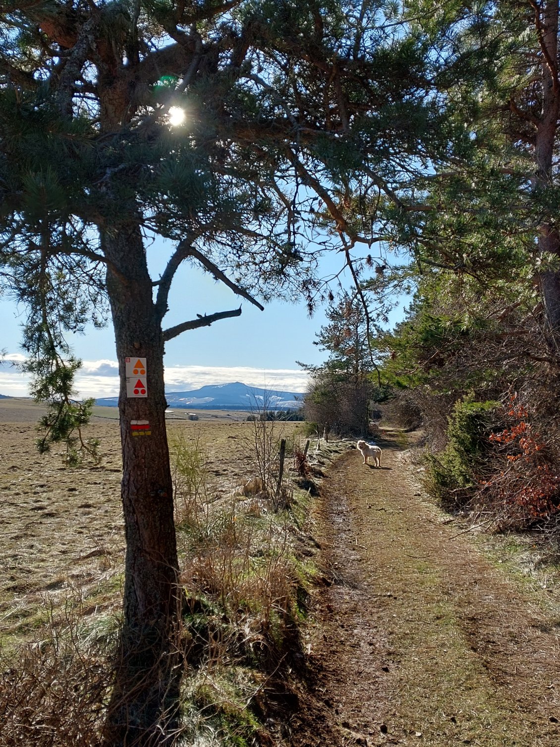 Le Mt Mezenc se rapproche !